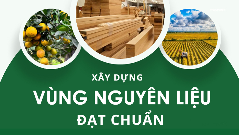 [Infographic] – Xây dựng các vùng nguyên liệu đạt chuẩn